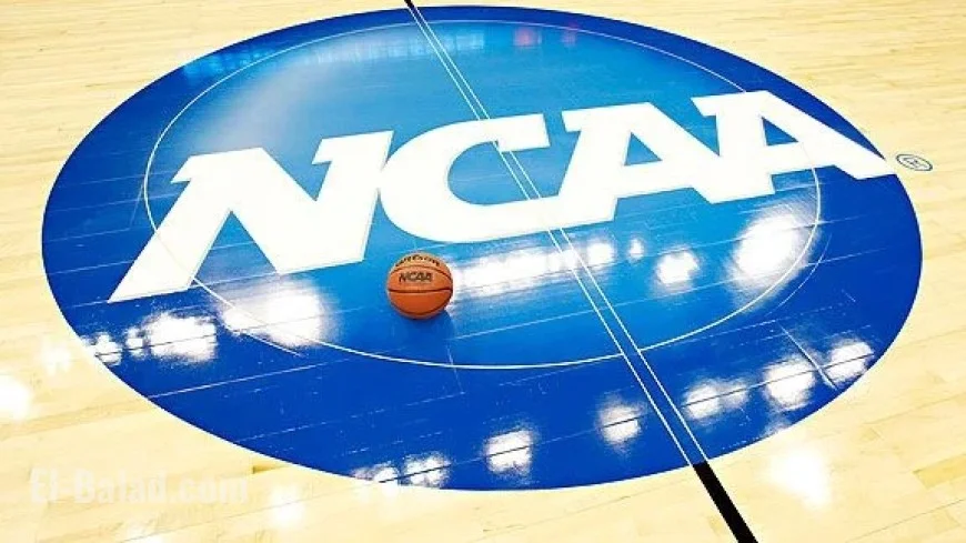 Gambling Syndicate Targeted College Basketball, Records Reveal