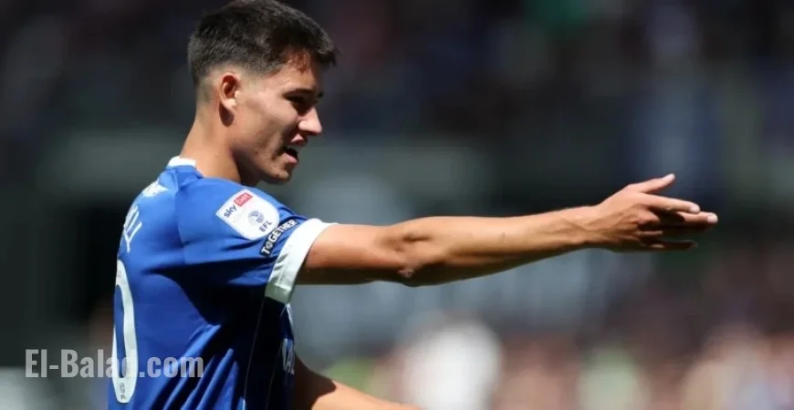 Brian Barry-Murphy Leads Cardiff City Opposition Summary