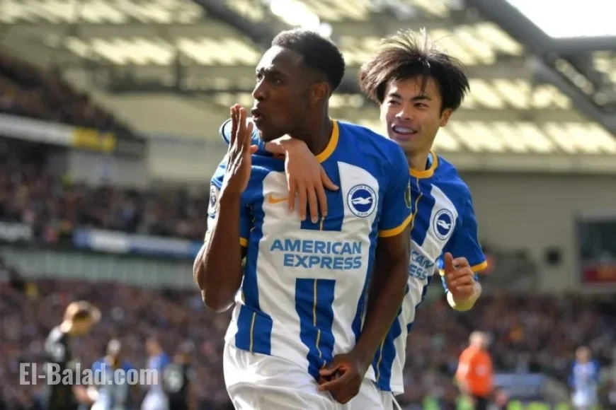 Brighton Stars Must Shine in Challenging Upcoming Fixtures