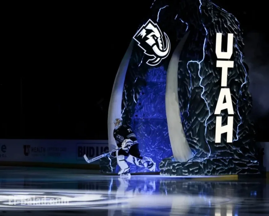 Choosing Your First NHL Team: A Guide for New Fans