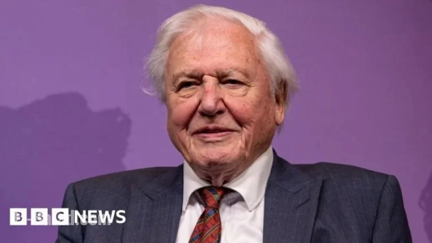 David Attenborough Becomes Oldest Daytime Emmy Winner for Orangutan Documentary