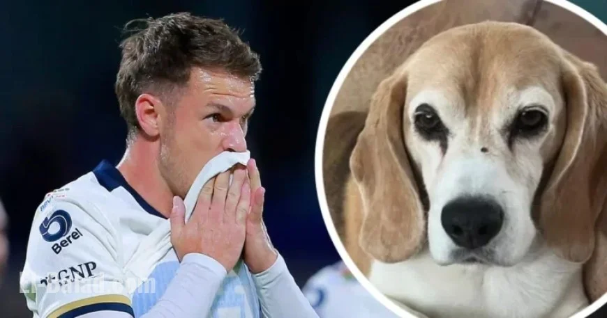 Aaron Ramsey’s Wife Shares Heartbreaking Kidnap Theory in ‘Dead or Alive’ Post