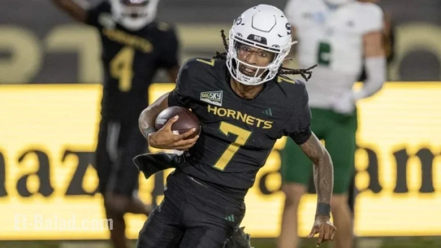 Inside Sac State’s Record-Breaking Hornets Run Game
