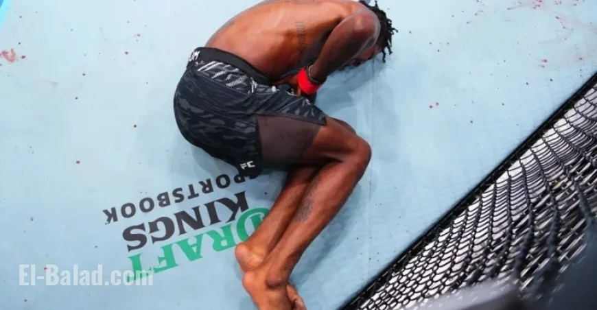 Pros Criticize Referee Mistake in Malott vs. Holland UFC Vancouver Fight