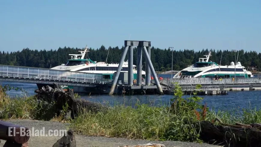Hullo Ferries Vessel Hits Humpback Whale Near Vancouver: DFO