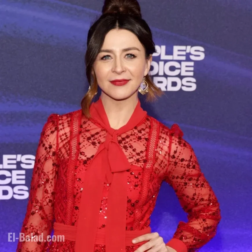 Grey’s Anatomy Fan Favorite Temporarily Exits the Show