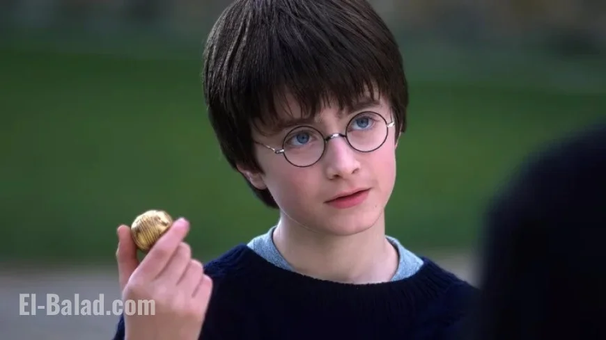 Ranking the Harry Potter Movies: A Fan’s Perspective