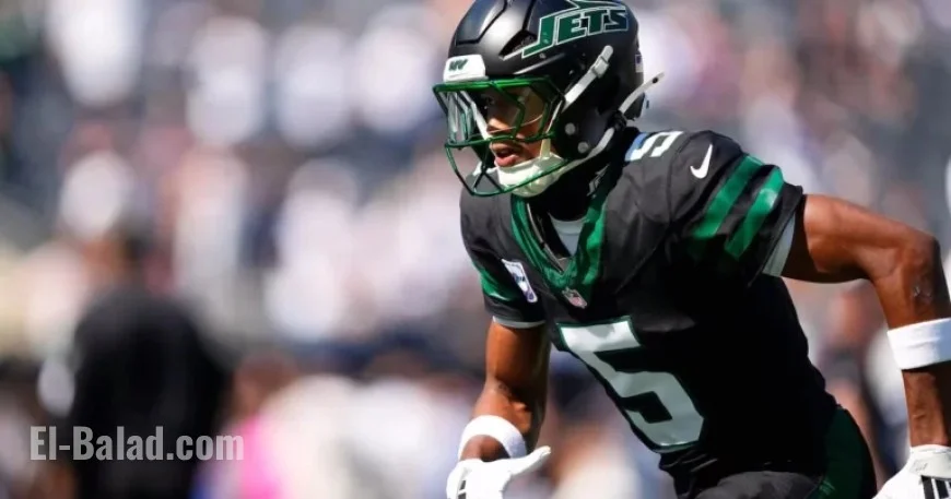 Jets WR Wilson Misses First NFL Game Against Panthers Due to Knee Injury