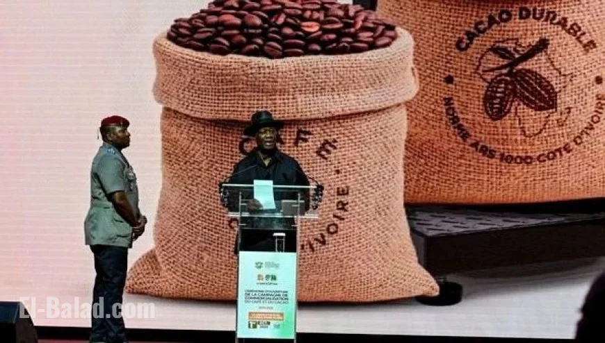 Côte d’Ivoire: Cocoa Boosts Ouattara’s Electoral Strategy