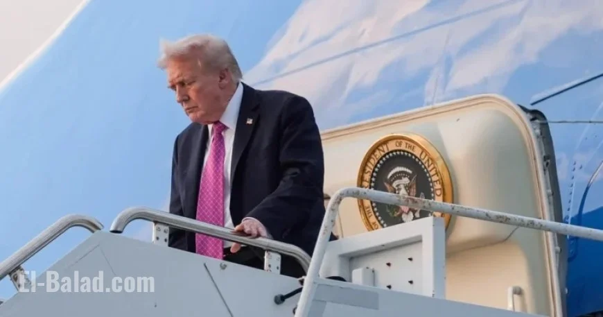 Secret Service Finds Hunting Stand Overlooking Trump’s Air Force One Exit in Florida