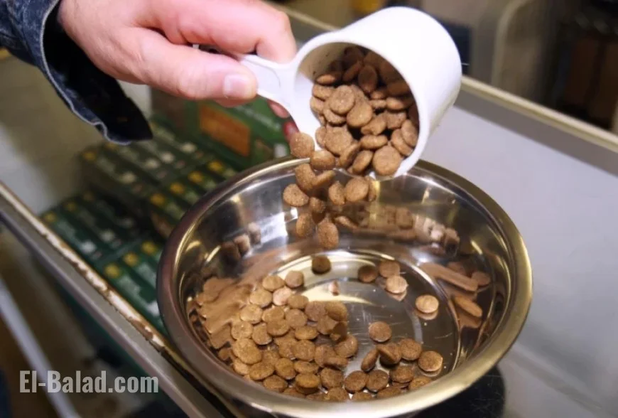 FDA Announces Voluntary Recalls of Multiple Pet Food Brands