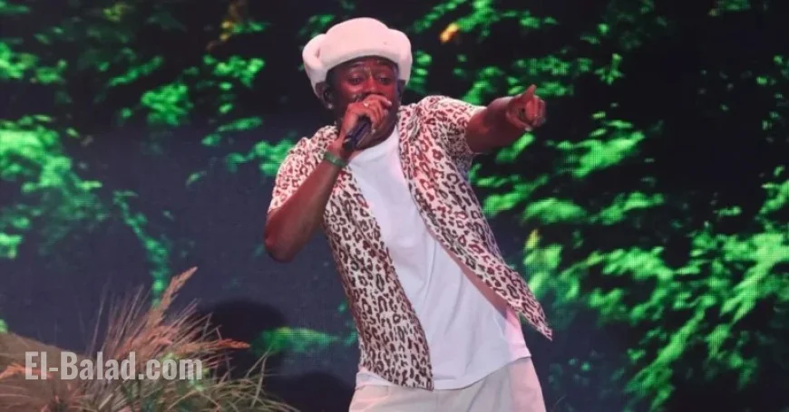 Tyler, The Creator Endorses Critique of White Fans’ Approach to Black Music