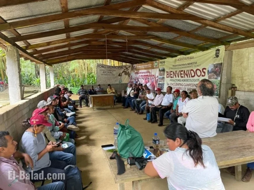 Promising Times Ahead for Guerrero Coffee Growers