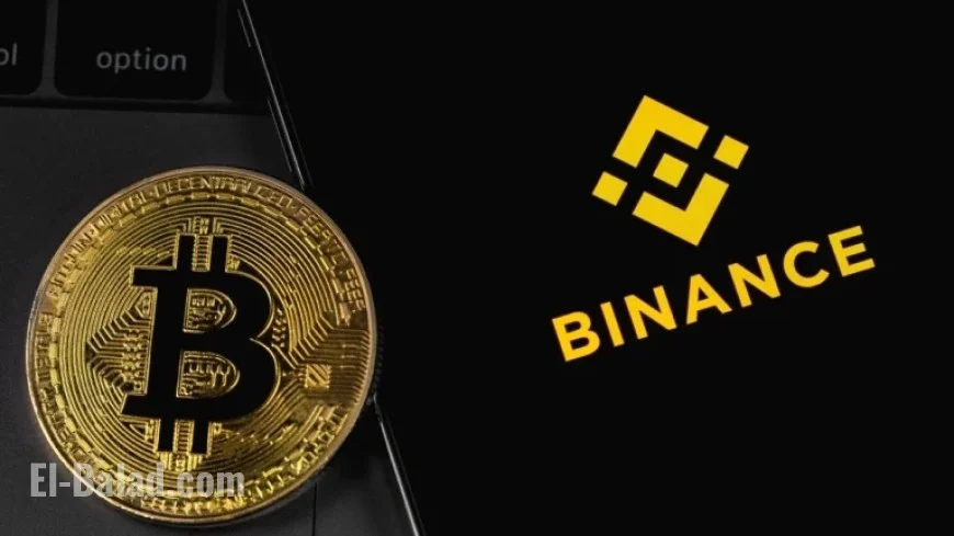 Top Cryptocurrencies to Buy Now: Binance Increases BTC and ETH Holdings