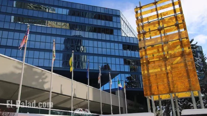 Calgary Mayoral Candidates Reveal Motivations for Entering the Race