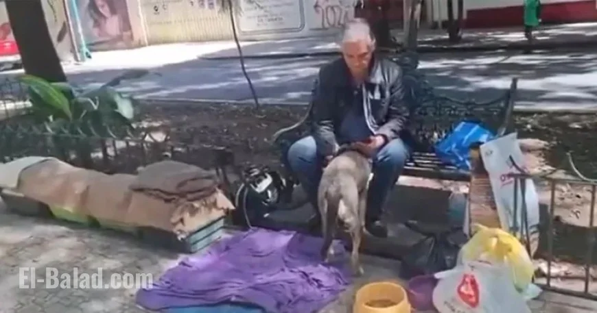 Aid Sought for Televisa Actor Found Homeless with Cats