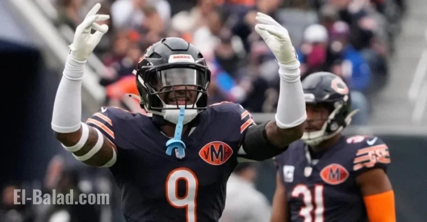 10 Bears Exit Cellar After 4th Consecutive Victory