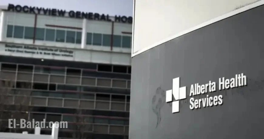 Avian Flu Outbreak Forces Temporary Closure of Calgary Petting Zoo