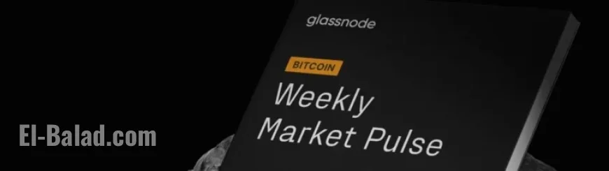 BTC Market Analysis: Week 43 Insights and Trends