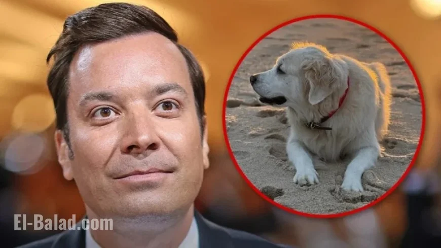 Jimmy Fallon Mourns Beloved Family Dog Gary’s Passing