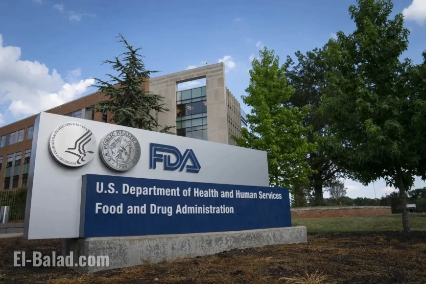 Pet Food Recall Alert: Freeze-Dried Treats Pulled for Salmonella Risk; Recent Frozen Beef Dog Food Recall Noted
