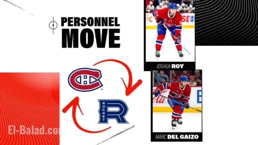 Joshua Roy, Marc Del Gaizo Rejoin Laval Rocket Roster