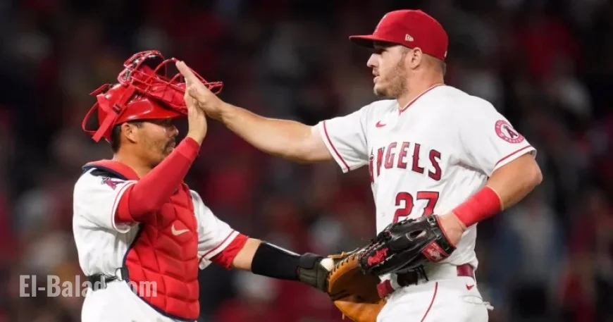 Suzuki to Lead Angels as New Manager: Report