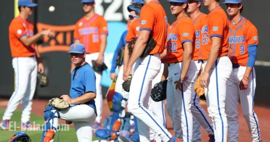 Insightful Q&A: UF’s Head Baseball Manager Ben White Shares Experiences