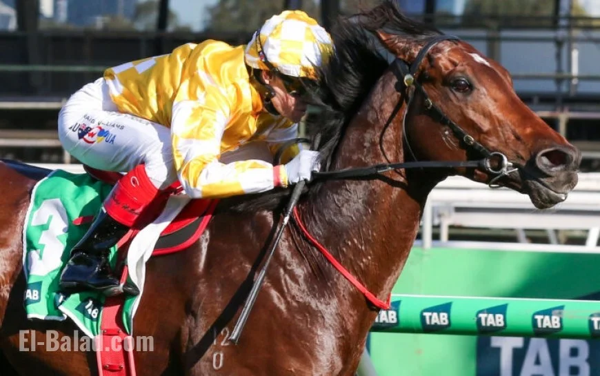 Geelong Cup 2025: Start Time, Wild-Weather Threat, Key Runners, and the Melbourne Cup “Golden Ticket”