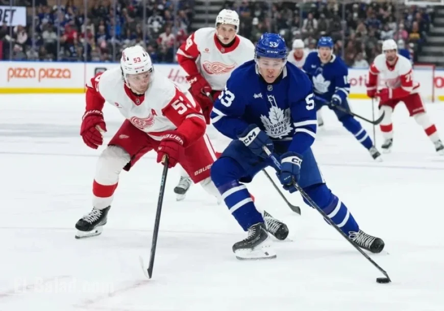 Maple Leafs Strategy: Decisions on Roy, Cowan & Valis Revealed
