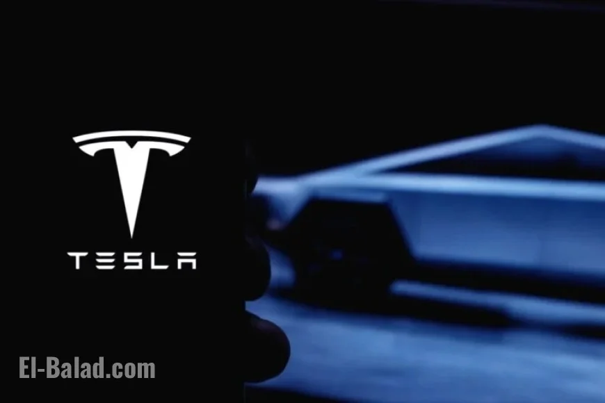 Tesla Q3 Results Split Analysts; Tom Nash Predicts $900 Stock in 12 Months