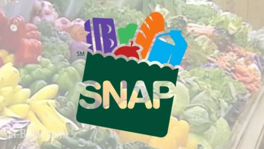 SNAP benefits: What’s changing now and what to expect for November
