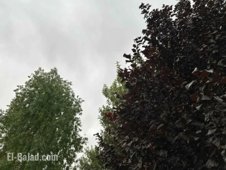 Las Vegas Braces for Showers and Thunderstorms
