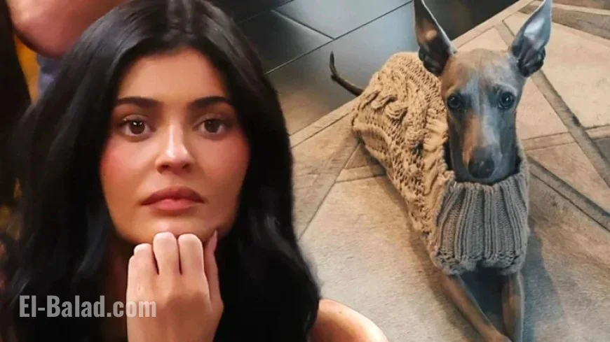 Kylie Jenner Mourns Death of Beloved Dog Norman