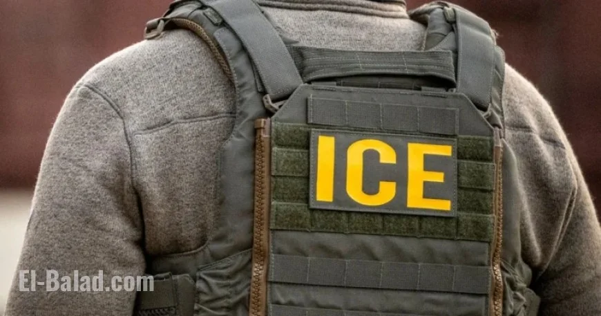 Advocates Report Miscarriages, Bleeding Among Pregnant Women in ICE Custody