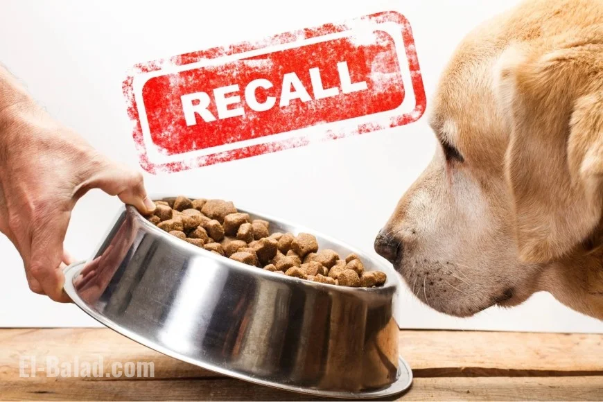 FDA pet food Salmonella recall: what’s new this week, what’s affected, and how to protect your household
