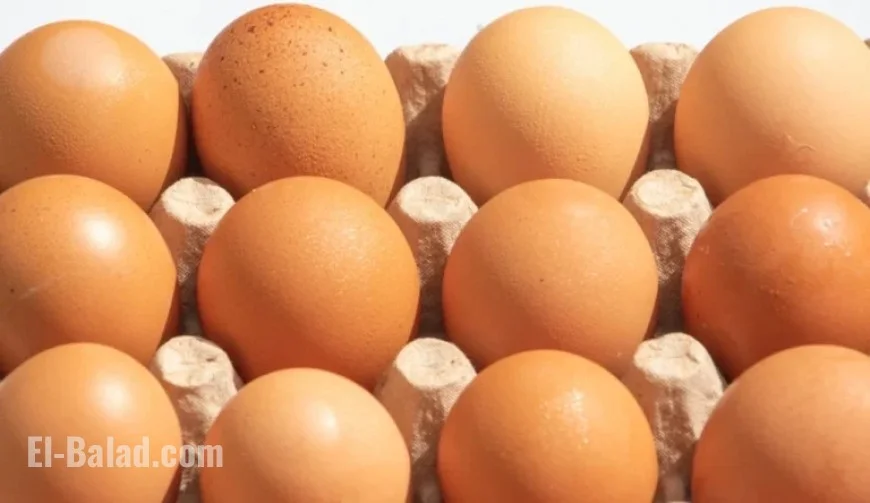 Black Sheep Egg Company Recalls Eggs Over Salmonella Risk