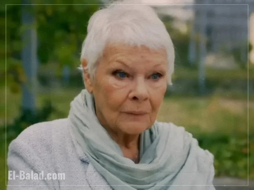 Judi Dench’s Favorite Film to Make, But She Didn’t Fully Grasp