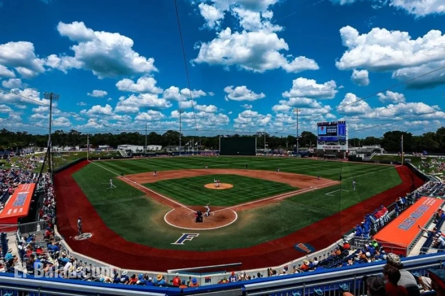 University of Florida Baseball Coach Kevin O’Sullivan Announces Leave of Absence