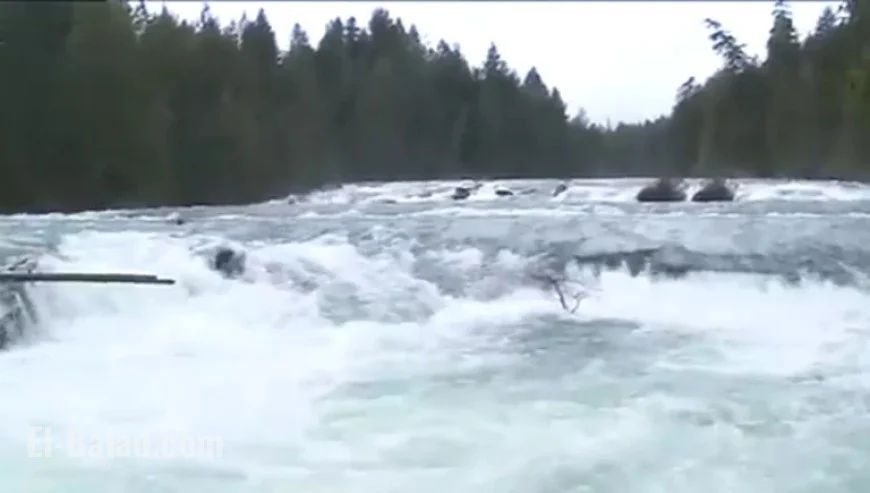 BC Hydro Urges Public to Avoid Comox Dam Amid Rising Spill Levels