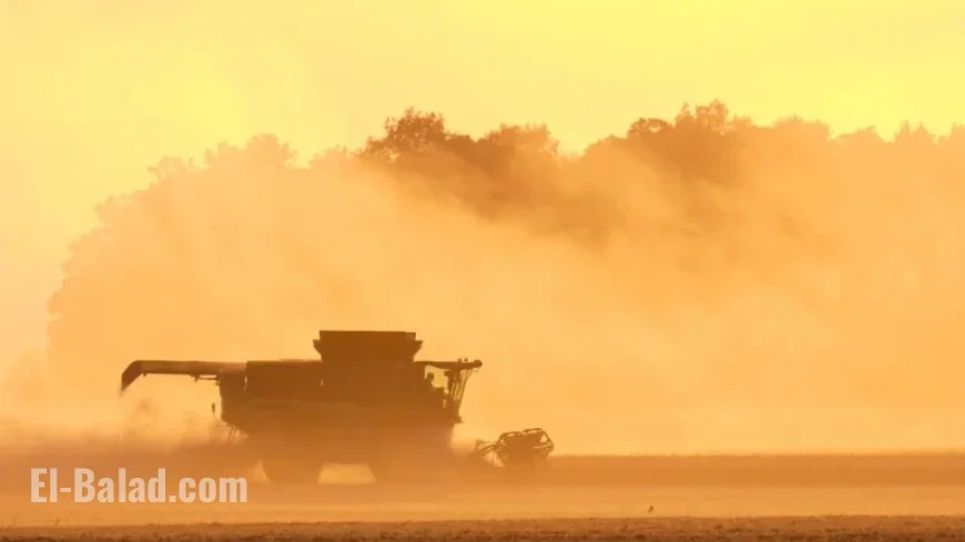 USDA Reopens County Offices to Aid Farmers Amid Government Shutdown