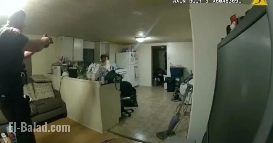 Illinois Officer Fatally Shoots Single Mother Removing Coffee from Stove