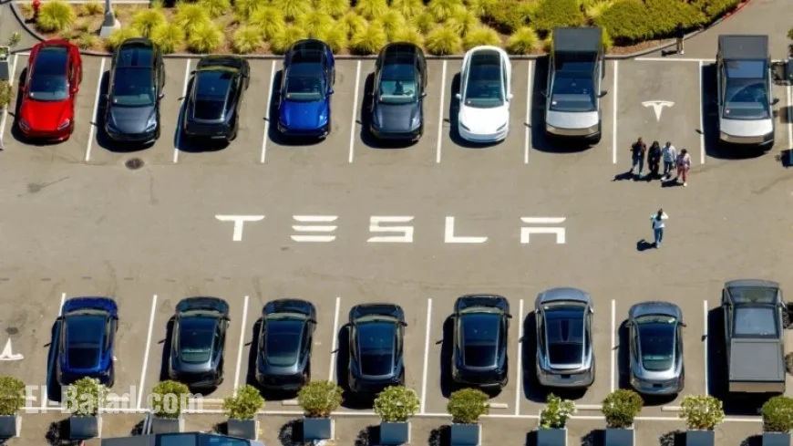 Tesla Profits Fall Despite Soaring Vehicle Sales