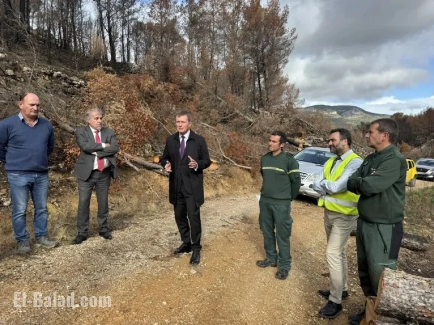 Aude: Forest Trails in Corbières Undergo Safety Works