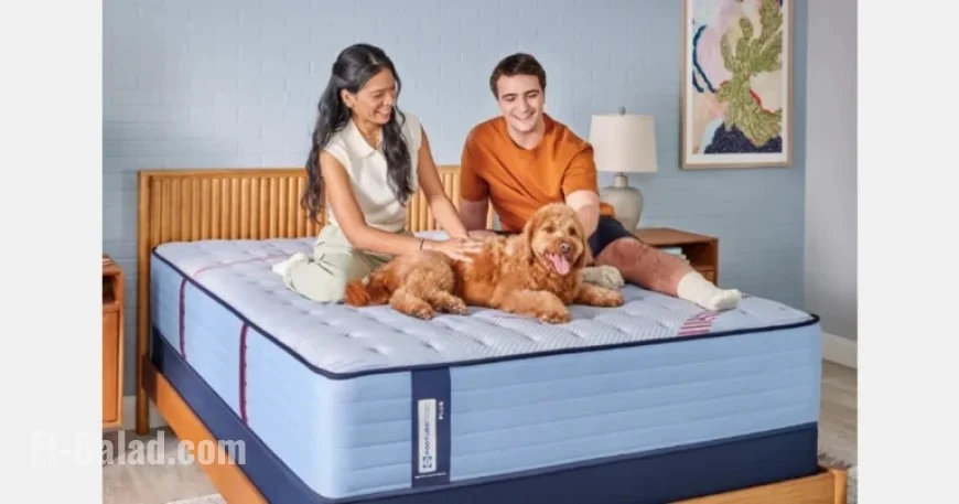 Somnigroup Expands North American Market with Kingsdown Acquisition