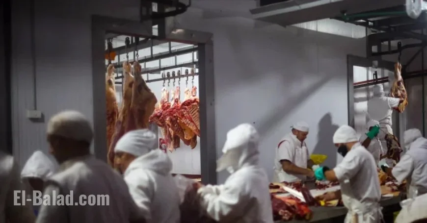 Trump Increases Argentine Beef Imports Fourfold, Stirring US Ranchers’ Discontent