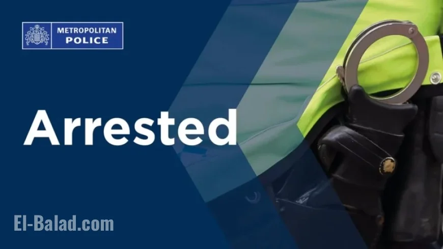 Suspect Arrested in South London Murder Investigation