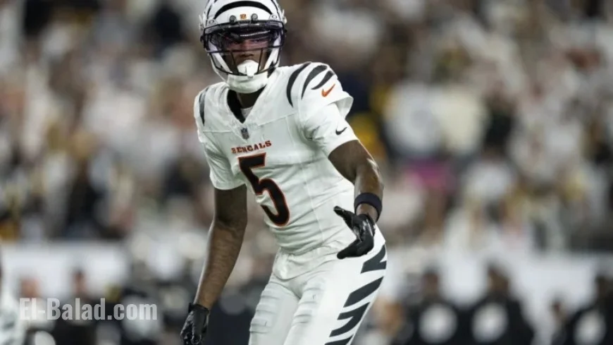 2025 Week 8 Fantasy Football WR Rankings Unveiled