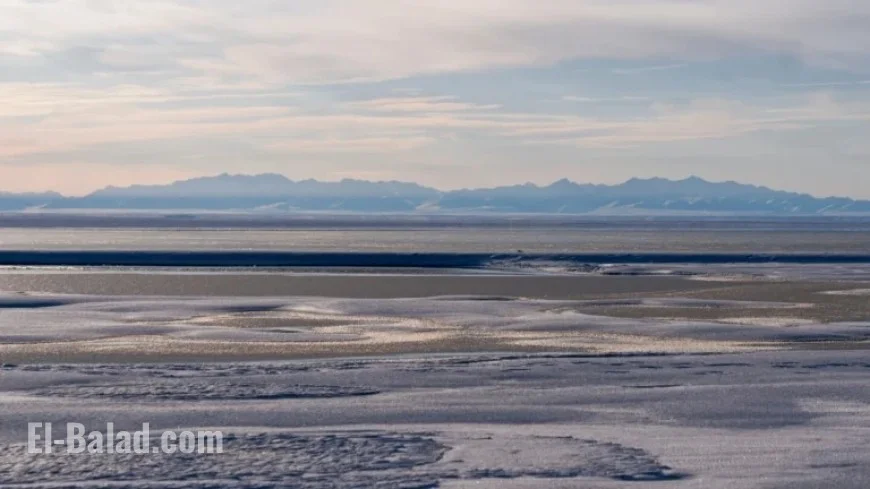 Trump Administration Approves Alaska Wildlife Refuge Oil, Gas Drilling