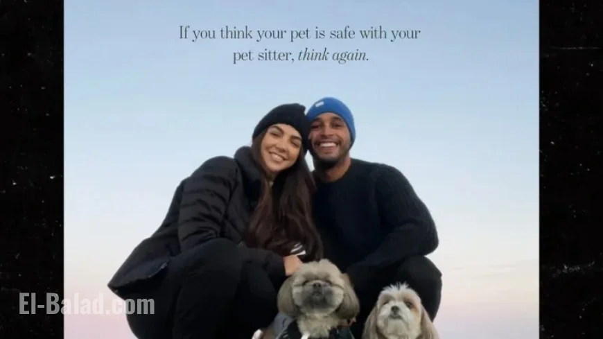 HGTV Stars Accuse Sitter of Hiding Dog’s Violent Death by Larger Canine